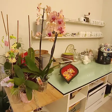 Il Trovatore Bed & Breakfast
